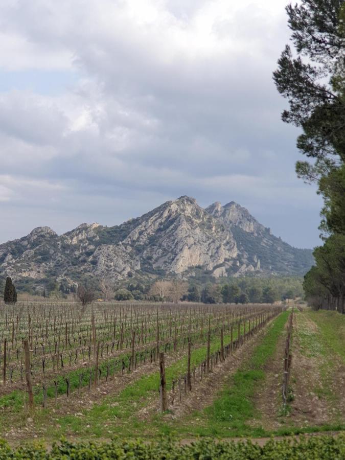 Les Estrelles Διαμέρισμα Saint-Rémy-de-Provence Εξωτερικό φωτογραφία
